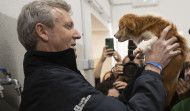 La Xunta estima que las ayudas para gastos veterinarios permitirán adoptar mil animales
