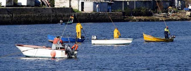 Los mariscadores de a pie solo han podido faenar ocho días desde mayo