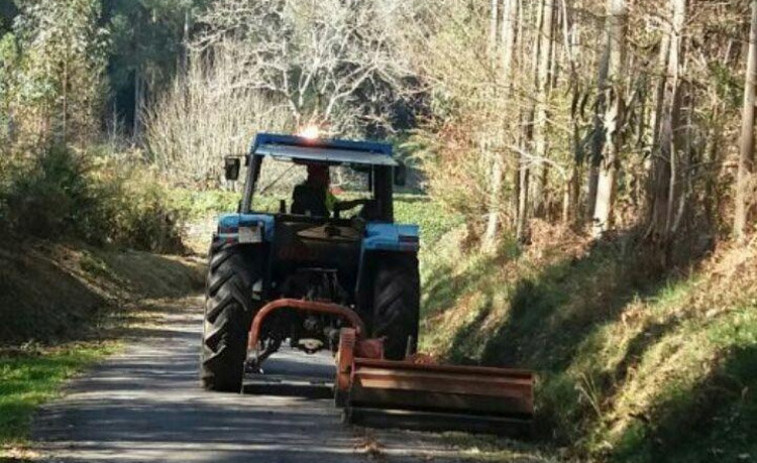 La Xunta extiende a todo el año la obligación de limpiar fincas para prevenir incendios