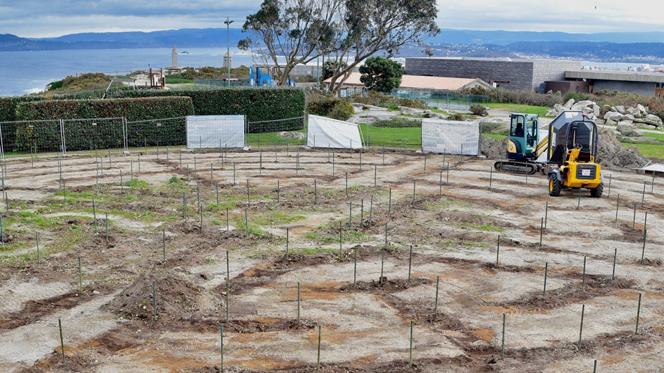 Eliminan el laberinto en mal estado del monte de San Pedro para plantar uno nuevo