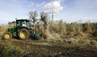 El sector agrario alerta de más plagas por el cambio climático en Galicia