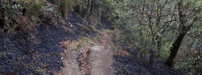 Las Fragas do Eume no recibirán las ayudas estatales para áreas quemadas