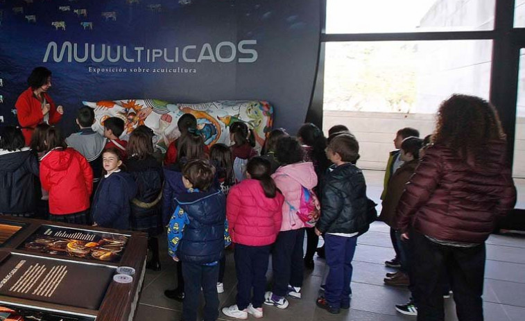 Los Museos Científicos coruñeses reabren sus puertas a los grupos de centros educativos