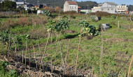 El Ayuntamiento ampliará los huertos urbanos de Feáns y Novo Mesoiro con fondos europeos