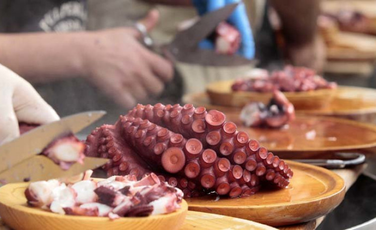 Tomar el pulpo en el San Froilán costará lo mismo que en 2016