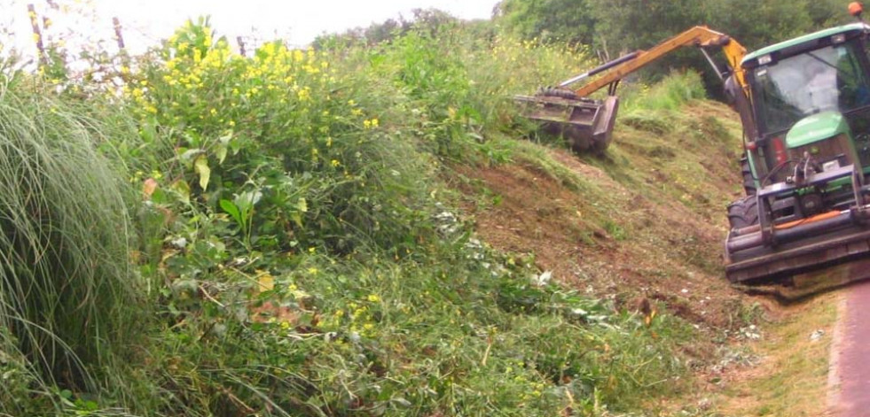 Seaga envía avisos para limpiar parcelas forestales en Bergondo