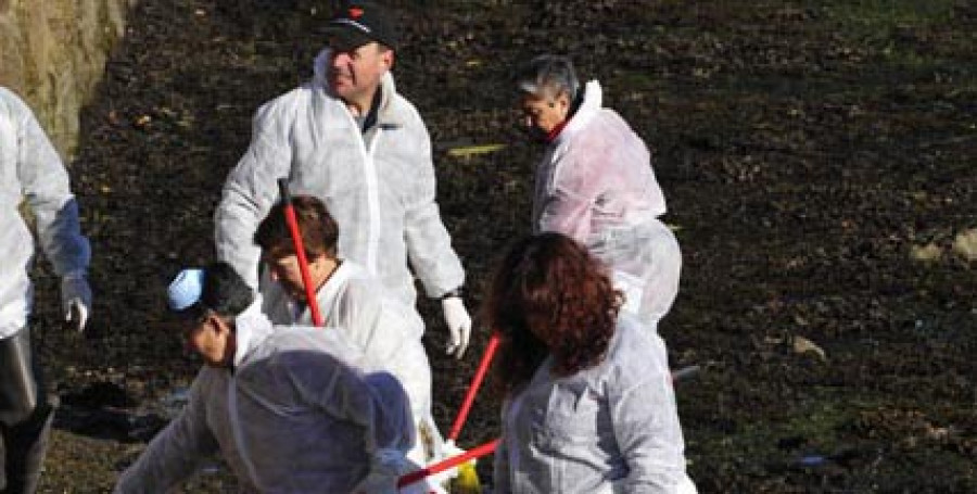 La plataforma por la ría espera reunir a más de un centenar de personas en la limpieza de hoy