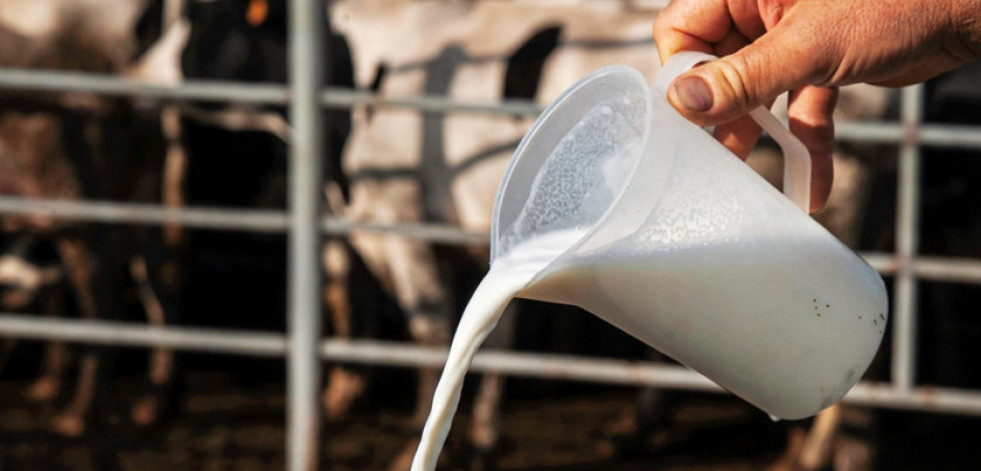 Agromuralla denuncia que la leche bajó un 20% en origen, pero no en los supermercados