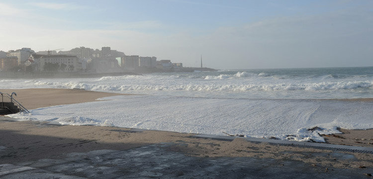 Reconstruir cada duna de Riazor cuesta al Gobierno local hasta 10.000 euros