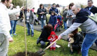 El Concello anima a los niños y niñas a hacer una plantación virtual de árboles