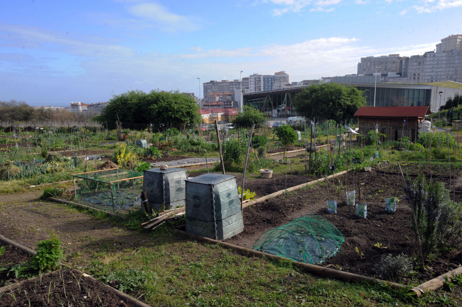 La Marea reclama al Gobierno local mayor compromiso con las huertas urbanas de A Coruña