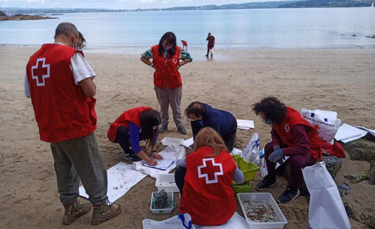 El ayuntamiento de Sada y Cruz Roja limpian la playa de Morazón de desperdicios