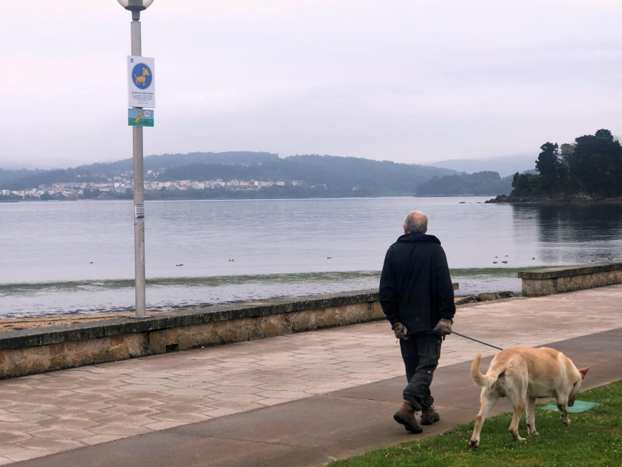 Sada permitirá el acceso de mascotas a los arenales en las noches de verano