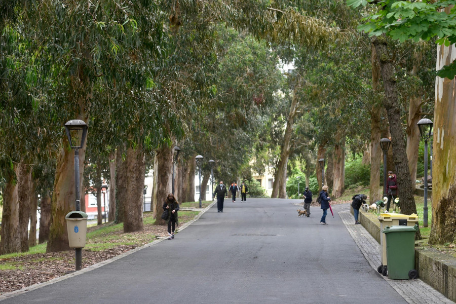 El Gobierno local aprueba el plan director  para recuperar “o monte” de Santa Margarita