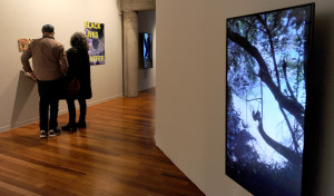 Día de los Museos en A Coruña (Fotos: Pedro Puig/Javier Alborés)