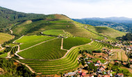 Altos de Torona, el vino sostenible que respira Atlántico