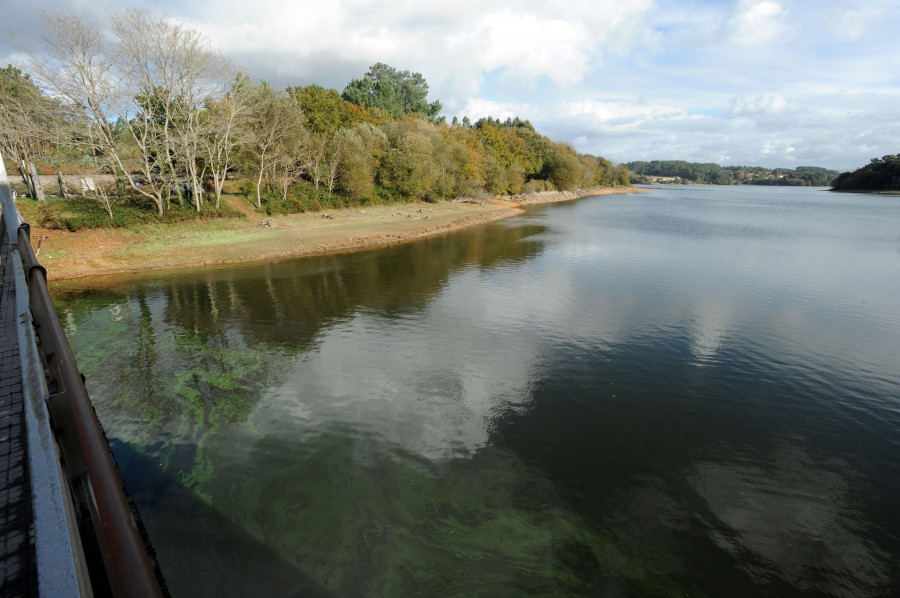 La Reserva y empresarios voluntarios eliminan especies invasoras del embalse de Cecebre