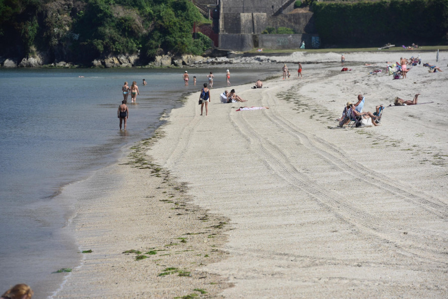 Alertan de la presencia de carabelas portuguesas en playas de Ferrol y Barreiros