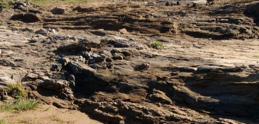 Oleiros ofrece este verano rutas guiadas  por el Monumento Natural Costa de Dexo