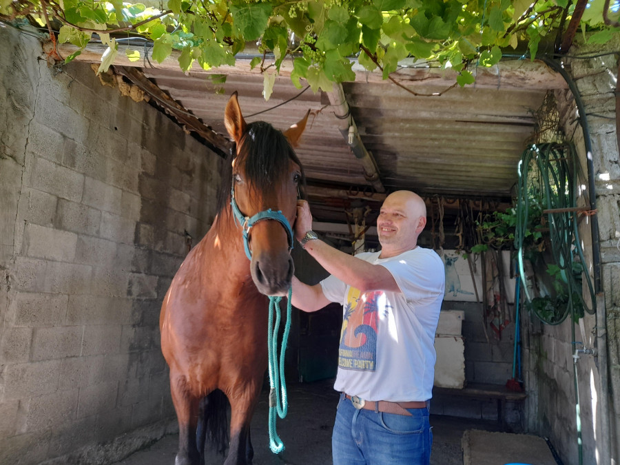 La corta aventura del caballo "Whisky": Ida y vuelta desde Elviña a Alfonso Molina