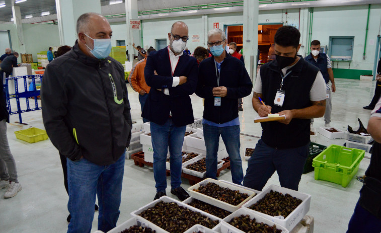 El gerente de Turismo visita la lonja para “crear experiencias que busquen calidade”