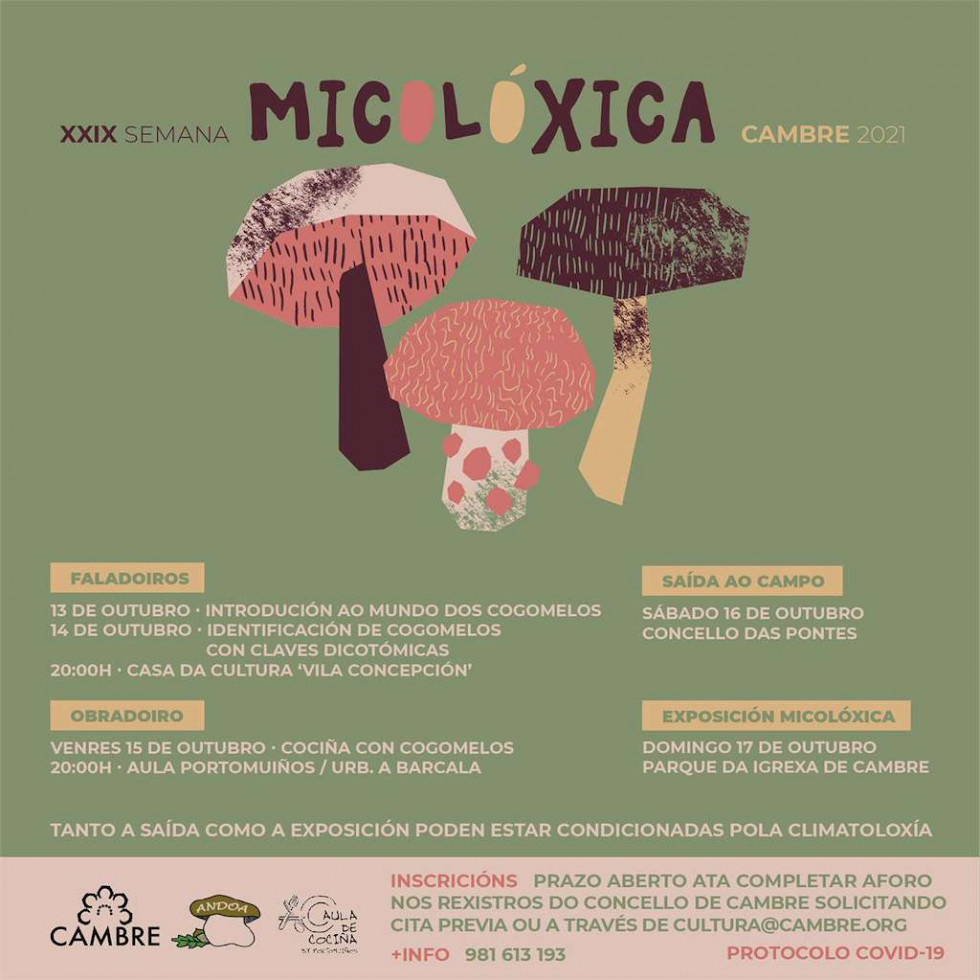 Semana micoloxica cambre img2932n1t0