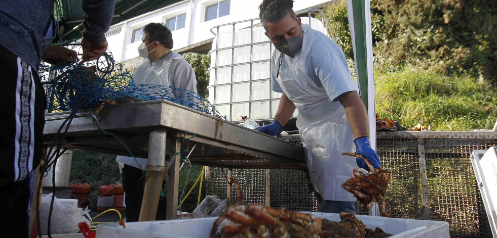 La cofradía de pescadores estudia un cambio de fecha para la Festa da Centola de Lorbé