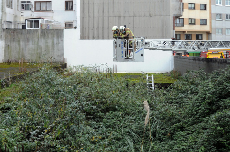 Desbrozan un solar buscando un supuesto bebé que habrían arrojado desde una ventana