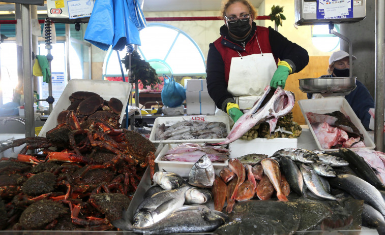 El recorte de un 8% en la pesca de merluza perjudica en Galicia a cerca de 900 barcos