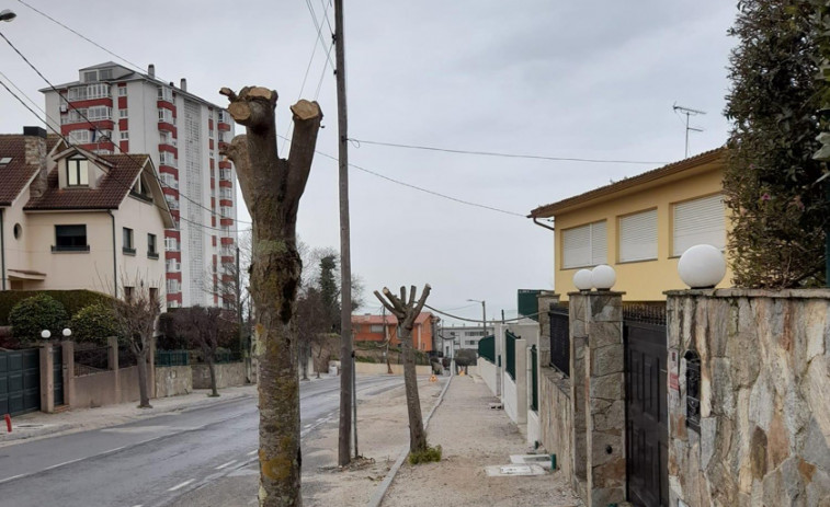 Oleiros sanciona a un vecino por la “poda salvaxe” de árboles públicos