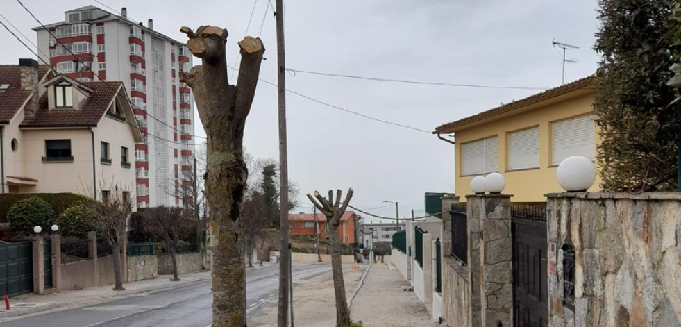 Oleiros sanciona a un vecino por la “poda salvaxe” de árboles públicos