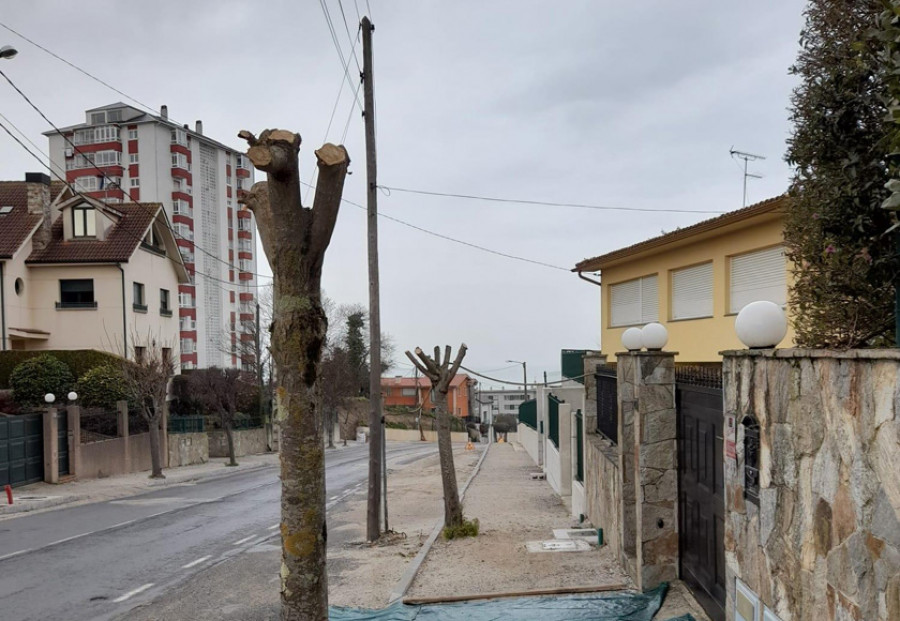 Oleiros sanciona a un vecino por la “poda salvaxe” de árboles públicos