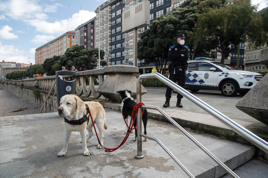 Dos turistas se lanzan al mar para auxiliar a sus perros y acaban siendo rescatados