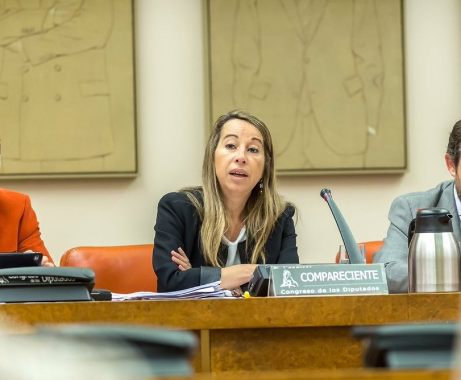 El PSOE pedirá imputación de la funcionaria Elena Collado por las mascarillas