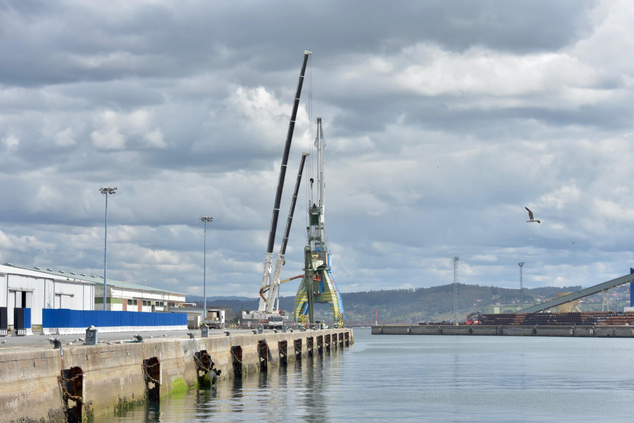 Una grúa desmontada en el muelle de Calvo Sotelo