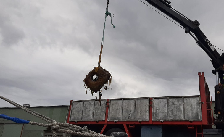 Encuentran un ancla lítica única junto a la playa del Matadero