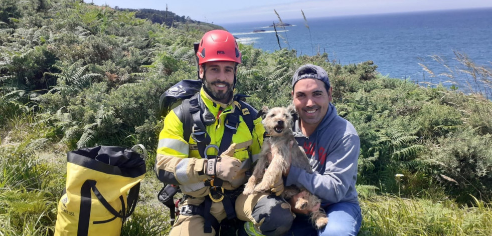 Emerxencias de Oleiros rescata un perro en los acantilados de Dexo