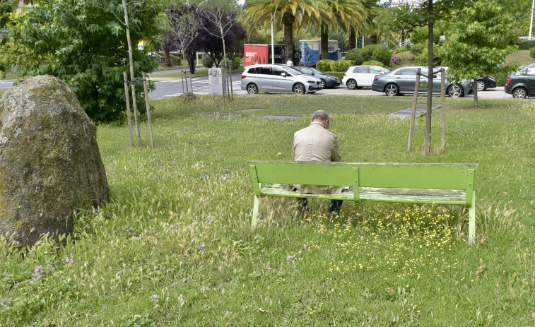 La asociación vecinal de Elviña denuncia la falta de   cuidado de las zonas verdes