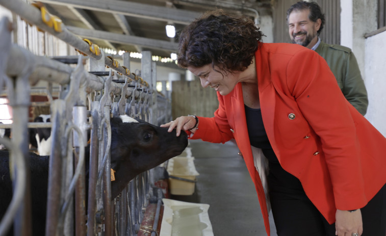 El Gobierno otorga una ayuda de 23,28 millones de euros a más de 2.500 productores de leche de A Coruña