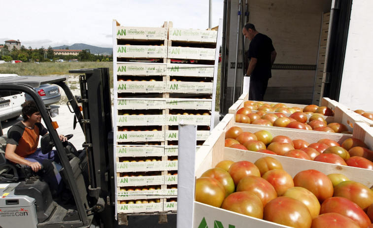 El precio de los alimentos se multiplica hasta por 10 del campo al súper