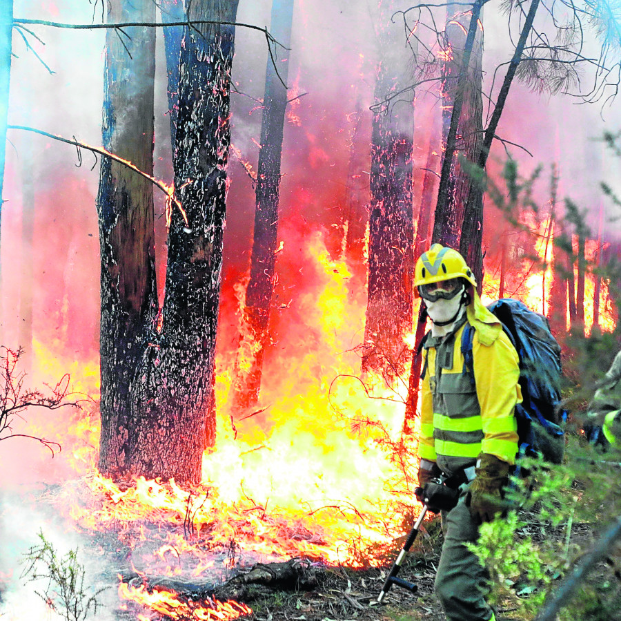 Los incendios y el “ecologismo extremo”