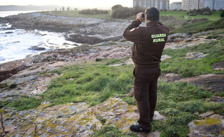 Una vigilante de la cofradía de A Coruña denuncia una agresión por parte de percebeiros furtivos