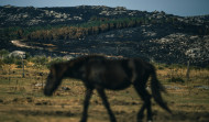 Controlado el incendio forestal del Parque Natural das Fragas do Eume