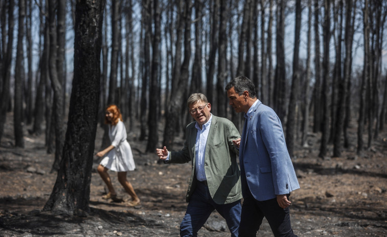 El Gobierno declarará como catastróficas las zonas de los grandes incendios