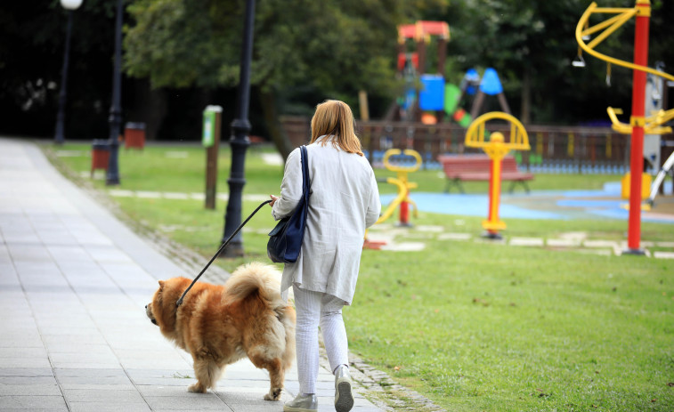 ¿Los perros sufren golpes de calor? Nuevos hábitos, hidratación y otros consejos en verano