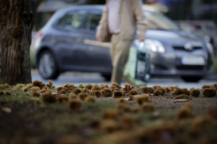 Galicia afronta un otoño similar al verano, cálido y seco