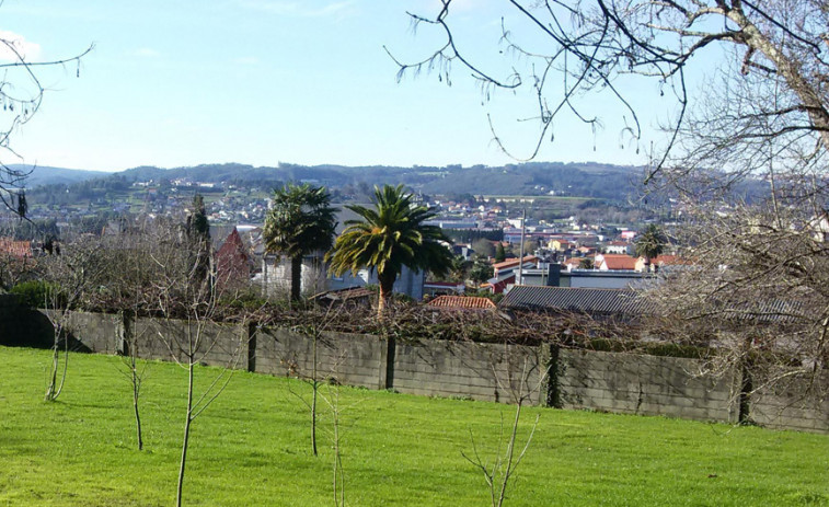 Oleiros alerta de una plaga de moscas en San Pedro de Nós