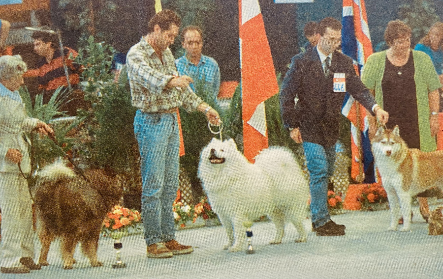 Hace 25 años: Un galgo afgano gana la muestra canina y cae el 62 de la calle del Orzán