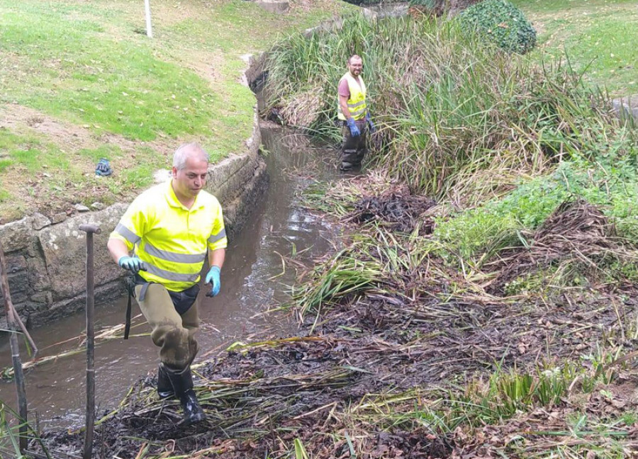 Arteixo limpia a mano los ríos Bolaños y Bidueiro para proteger la flora y la fauna