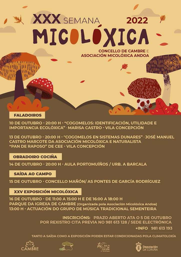 Semana micoloxica cambre img2932n1t0